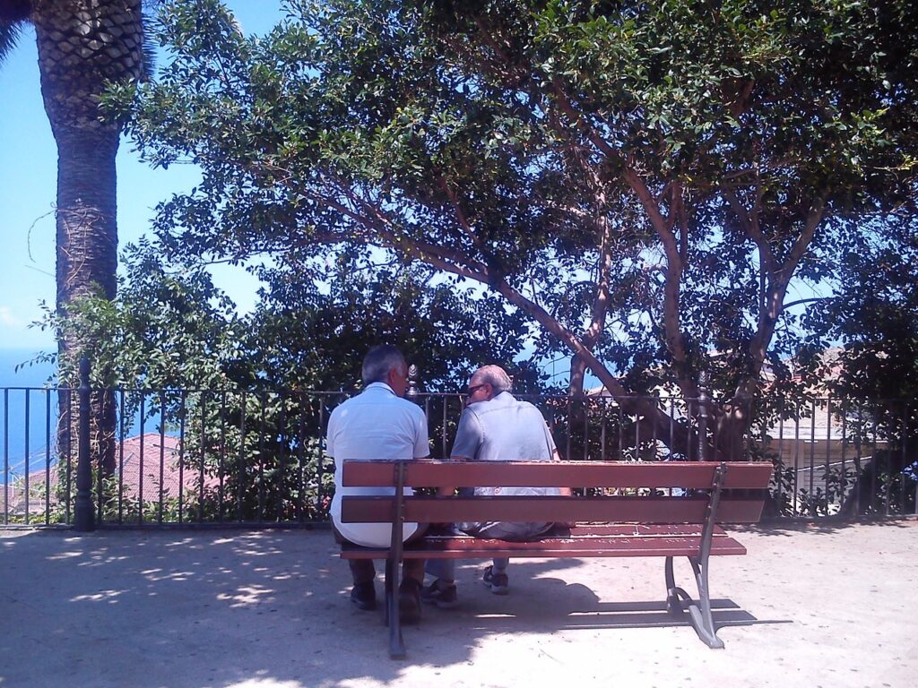 two men sitting chatting on a shaded bench, with trees in the background and the sea beyond that. Your purpose is to give them the stories to tell.