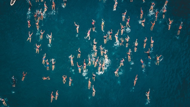Photo is an aerial shot of a large group of swimmers in open water